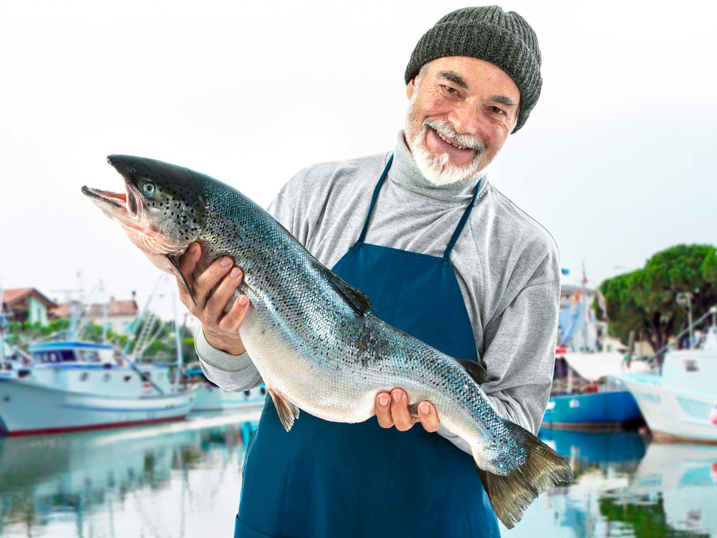 God’s Plan Is Best Salmon Need Saltwater Acclimation The Institute